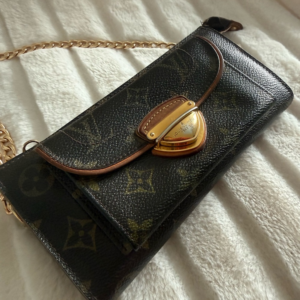 Louis Vuitton wallet/crossbody with 2 chains